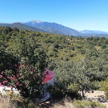 Yourte Contemporaine Avec Magnifique Vue Sur Les Montagnes Rigarda 外观 照片