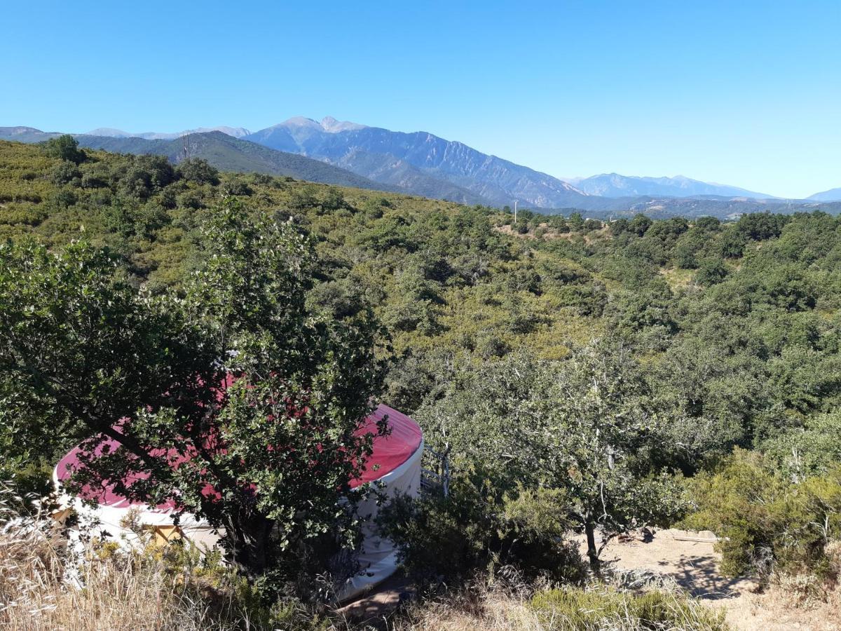 Yourte Contemporaine Avec Magnifique Vue Sur Les Montagnes Rigarda 外观 照片
